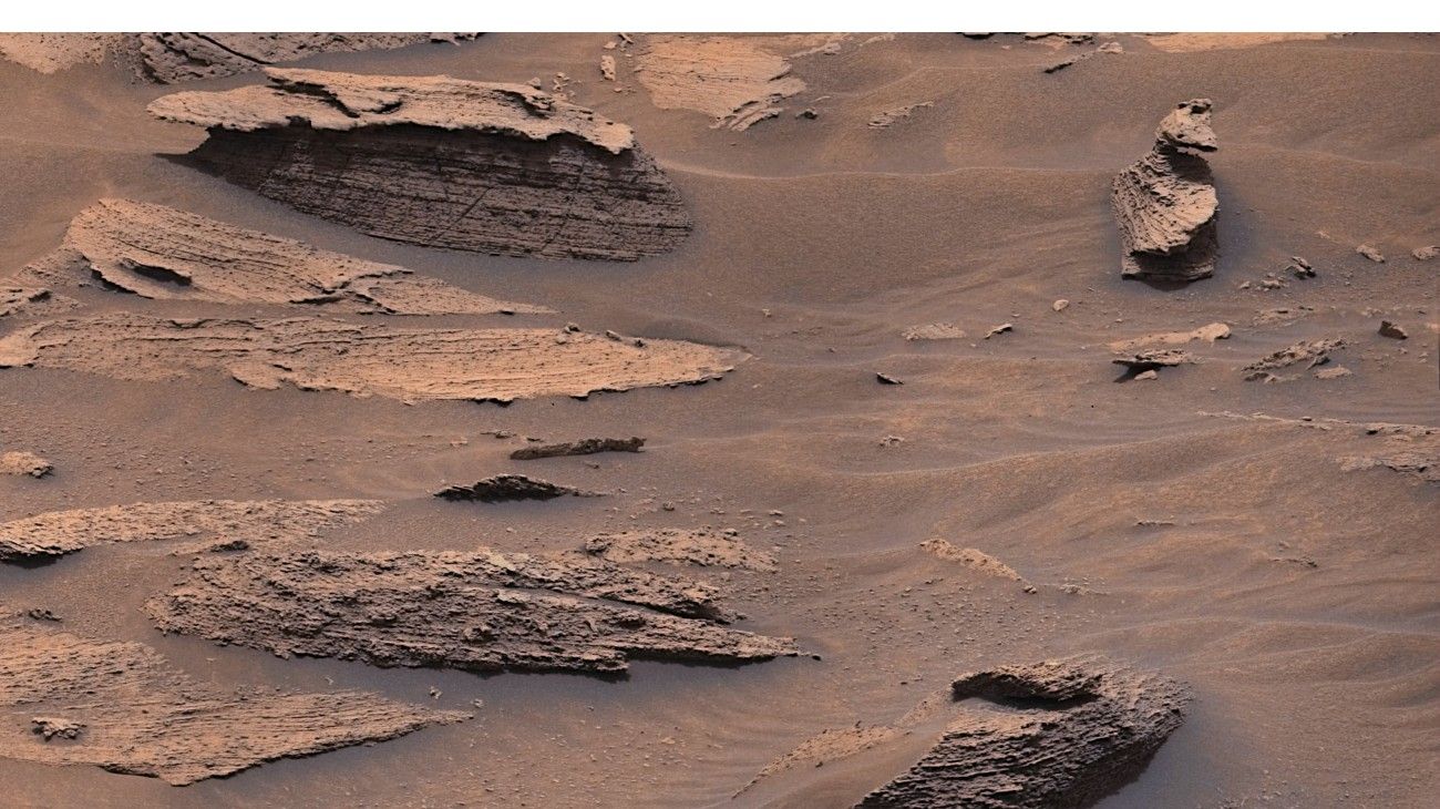El rover Curiosity de la NASA descubrió un "pato" en Marte