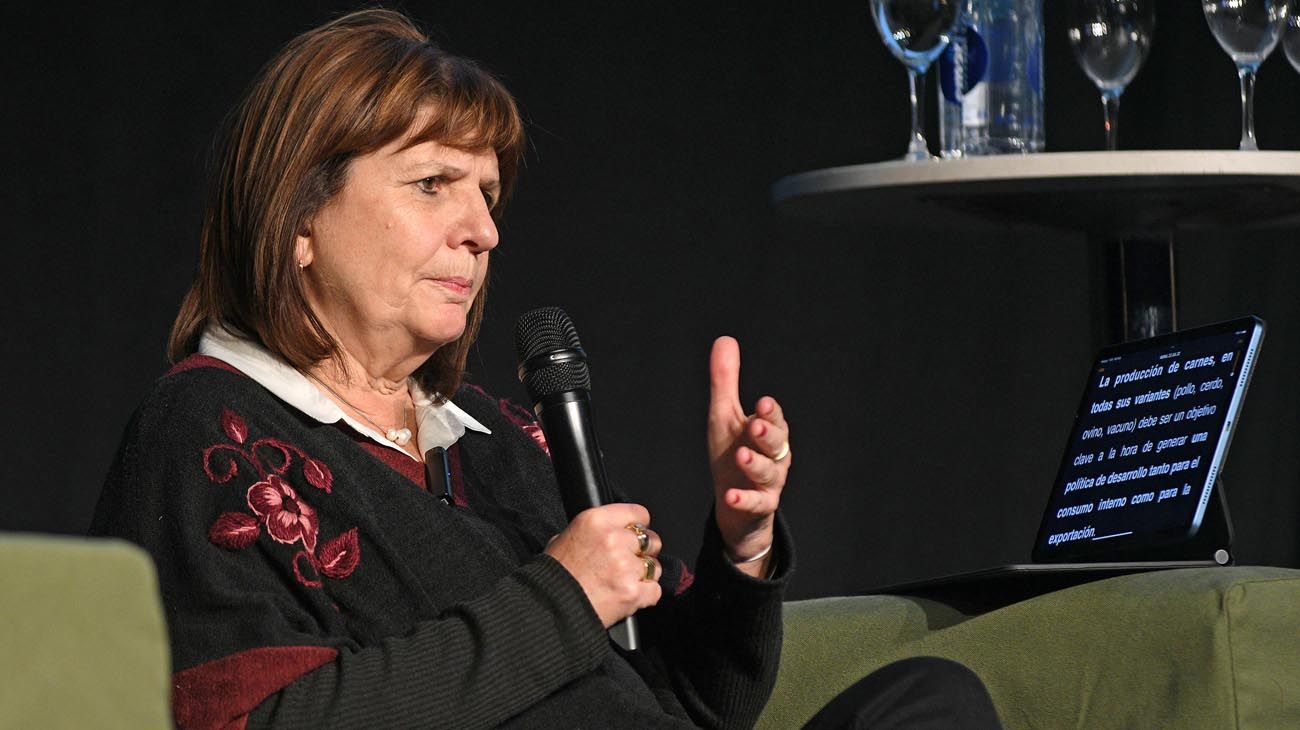 Patricia Bullrich arma un acto con intendentes y dirigentes del PRO en Mar del Plata