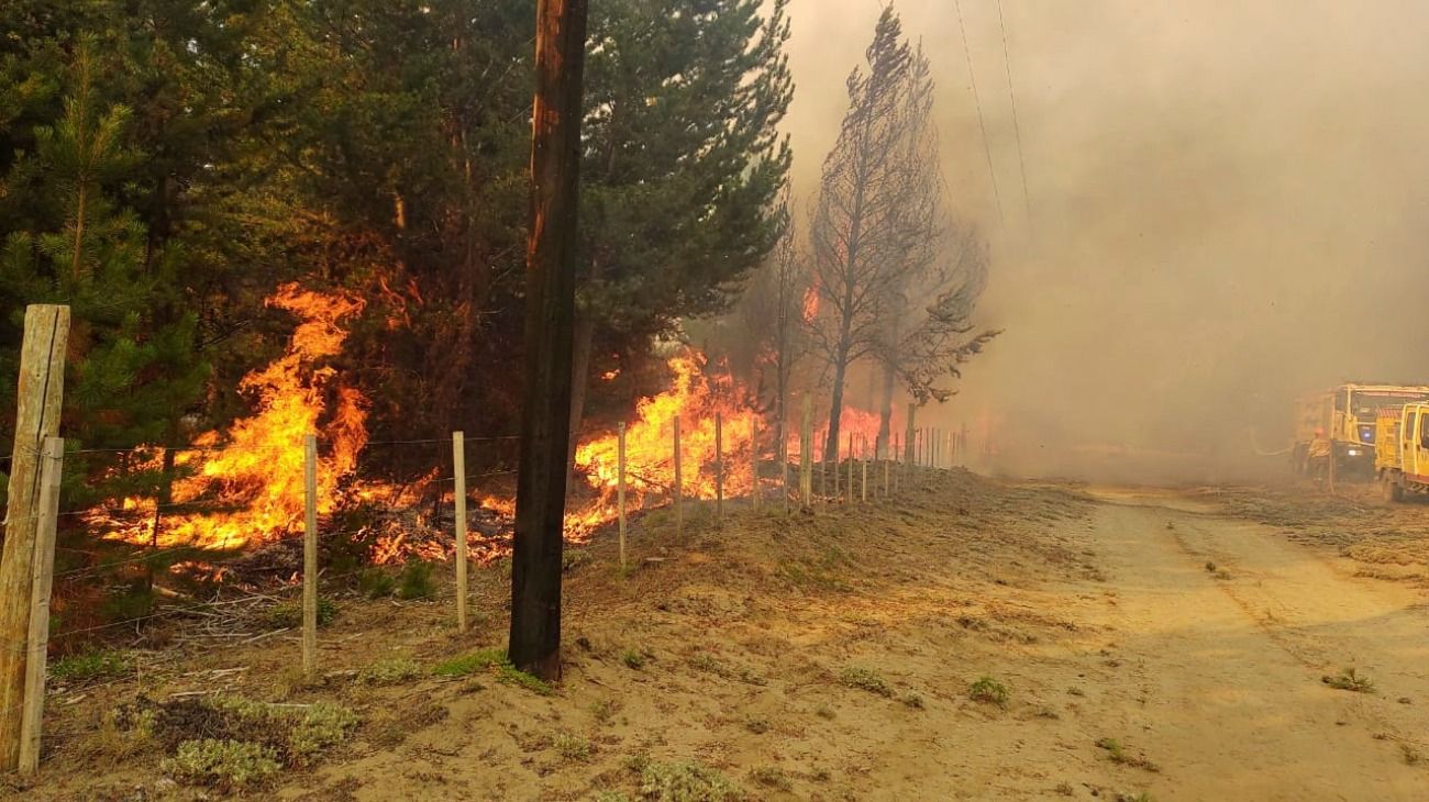 Se agravó la situación de los incendios forestales en Río Negro