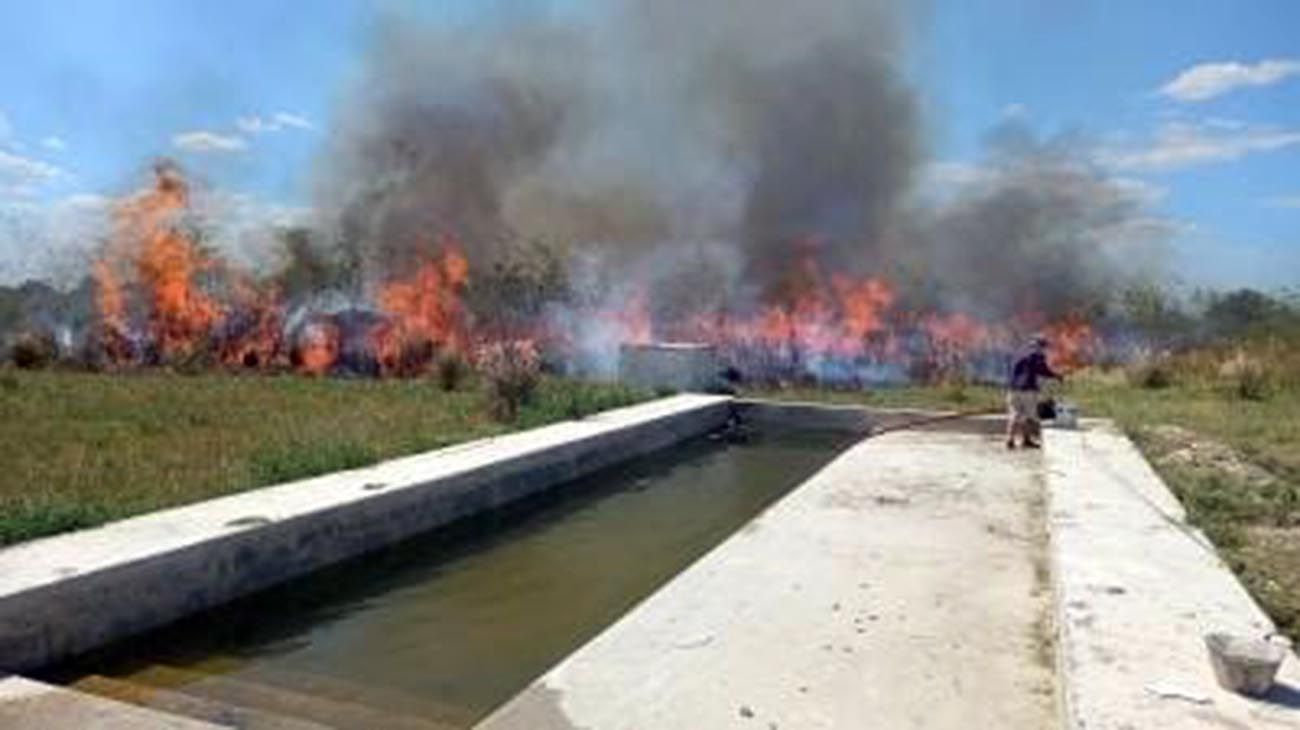 Videos: los impresionantes incendios que afectaron los Esteros del Iberá
