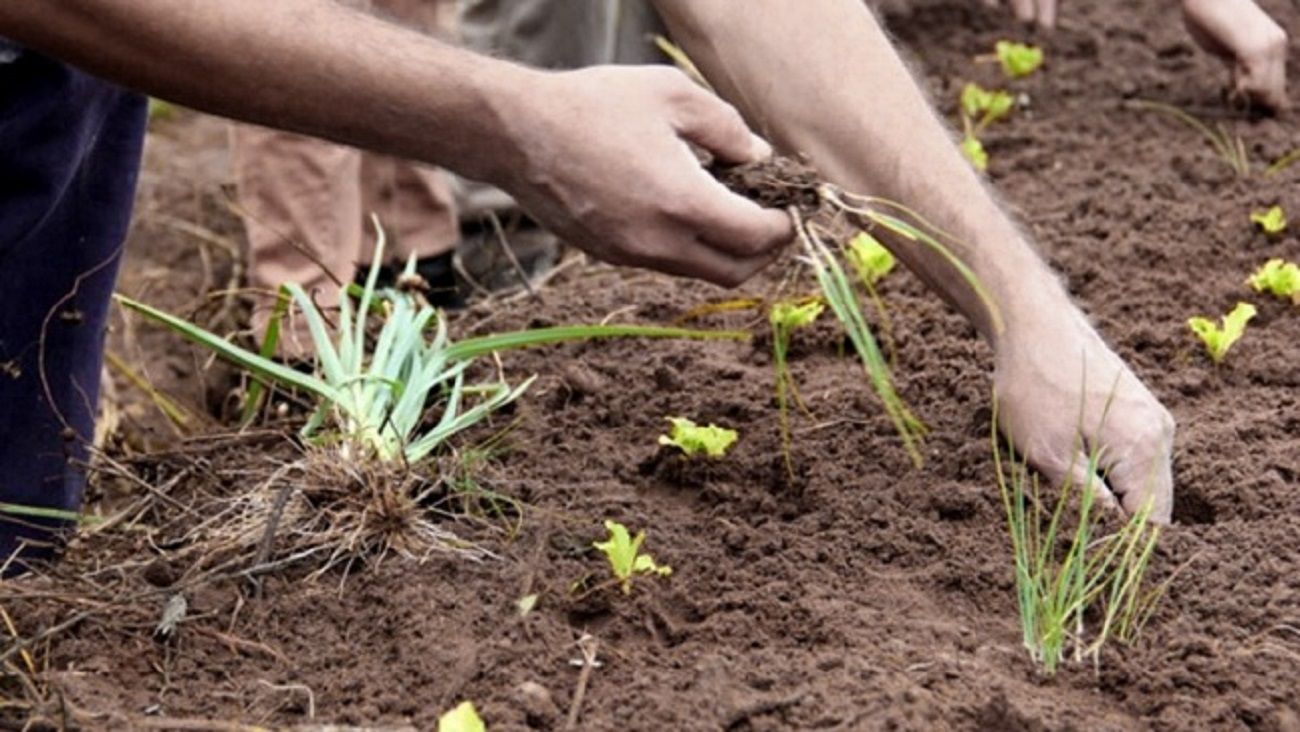 Agroecología: un estilo de vida que crece