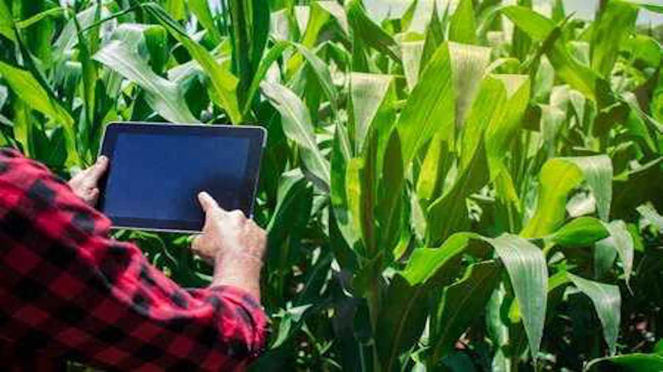 Productos químicos o biológicos para el campo: ¿Es esa la cuestión?