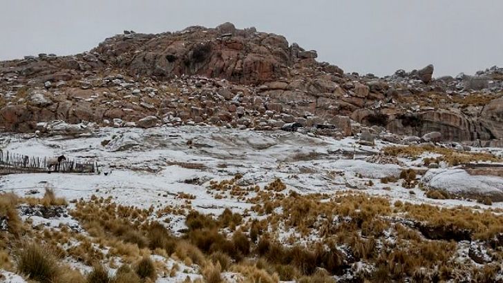 Nieve en Córdoba: un fino manto blanco cubrió la Pampa de Achala