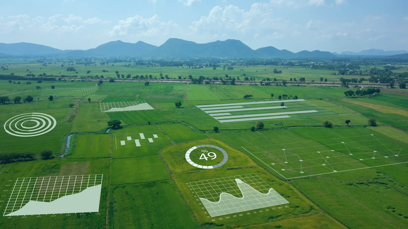 Smart Farming: el boom de la agricultura que apunta a los "campos inteligentes"