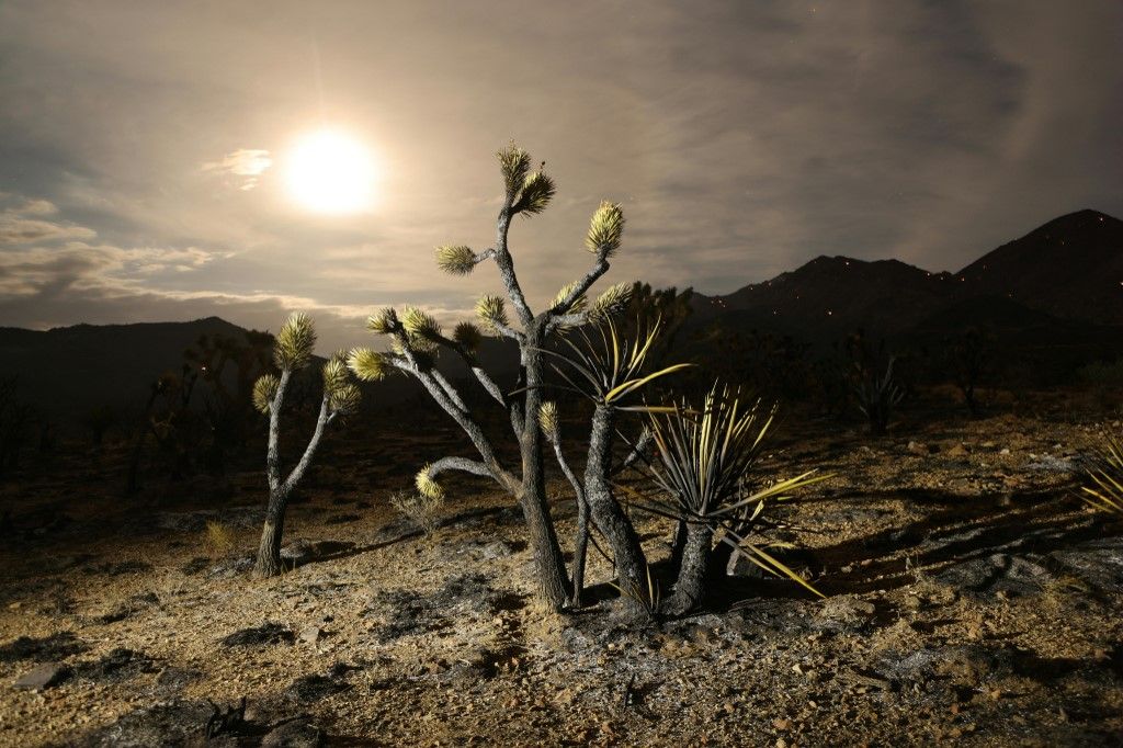 Día del Sobregiro de la Tierra: ya se agotaron todos los recursos naturales para el 2023