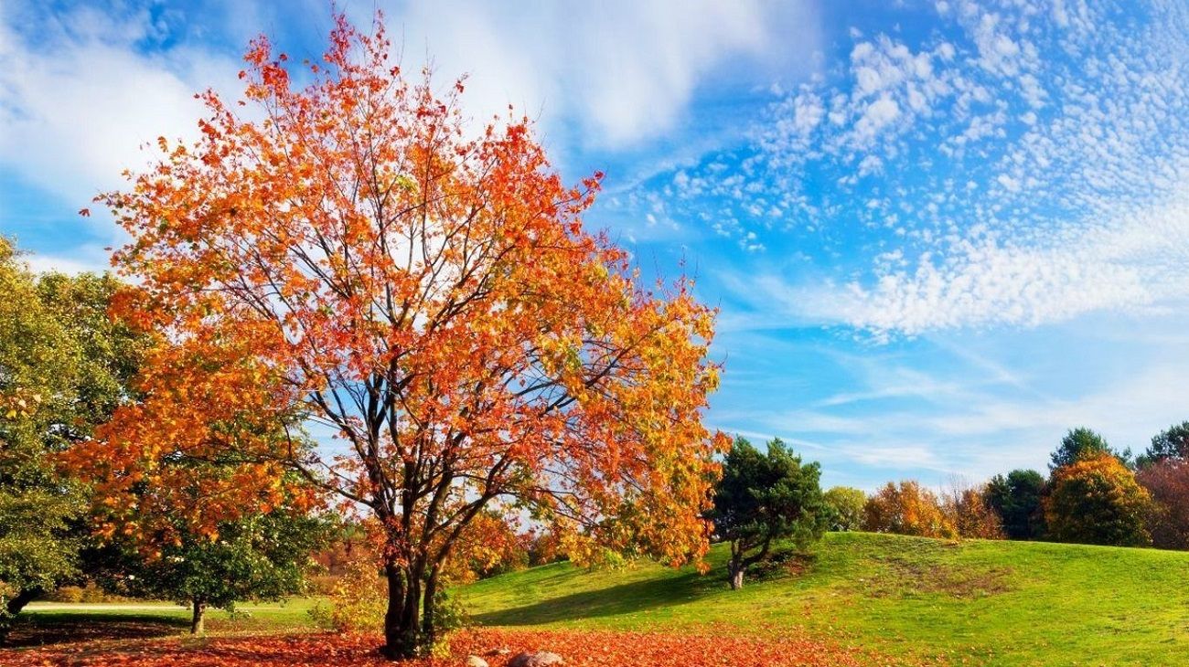 Veranito en mayo: hasta cuándo durarán las altas temperaturas en pleno otoño