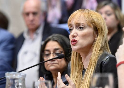 Senado: el kirchnerismo impulsa un proyecto para apartar a jueces que no tengan perspectiva de género
