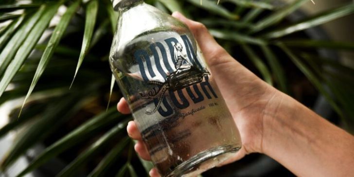 Más Soda, la opción sustentable que permite reducir hasta un 70% los costos