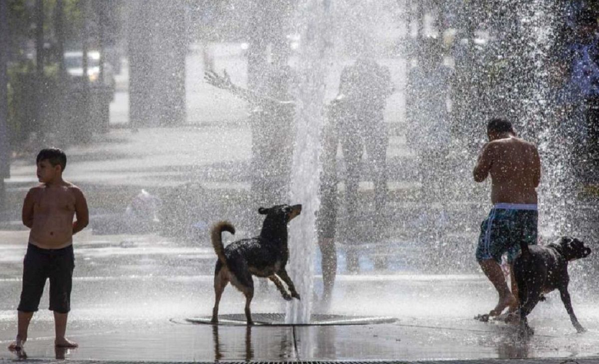 El calor extremo provocó 710 mil muertes en un año y crece la alerta sanitaria mundial