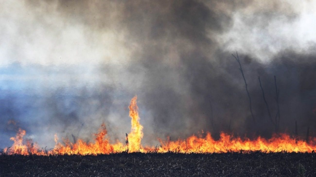 Quema de pastizales en el Delta del Paraná: cómo afecta el humo a los ojos y cómo protegerlos