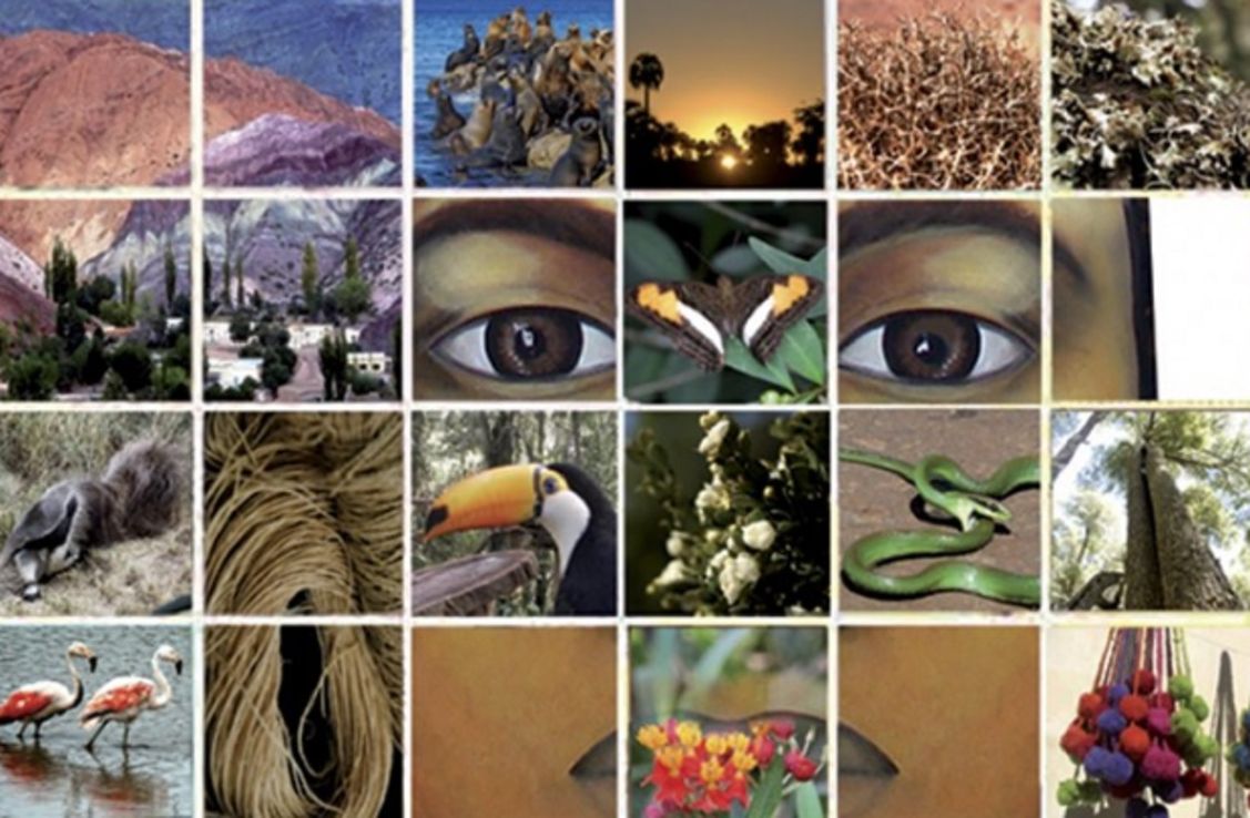 Día Mundial del Ambiente, compromiso de todos