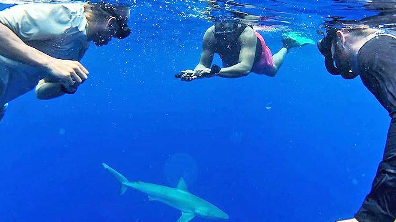 Ginóbili aventurero: de viaje por Hawaii nadó con tiburones