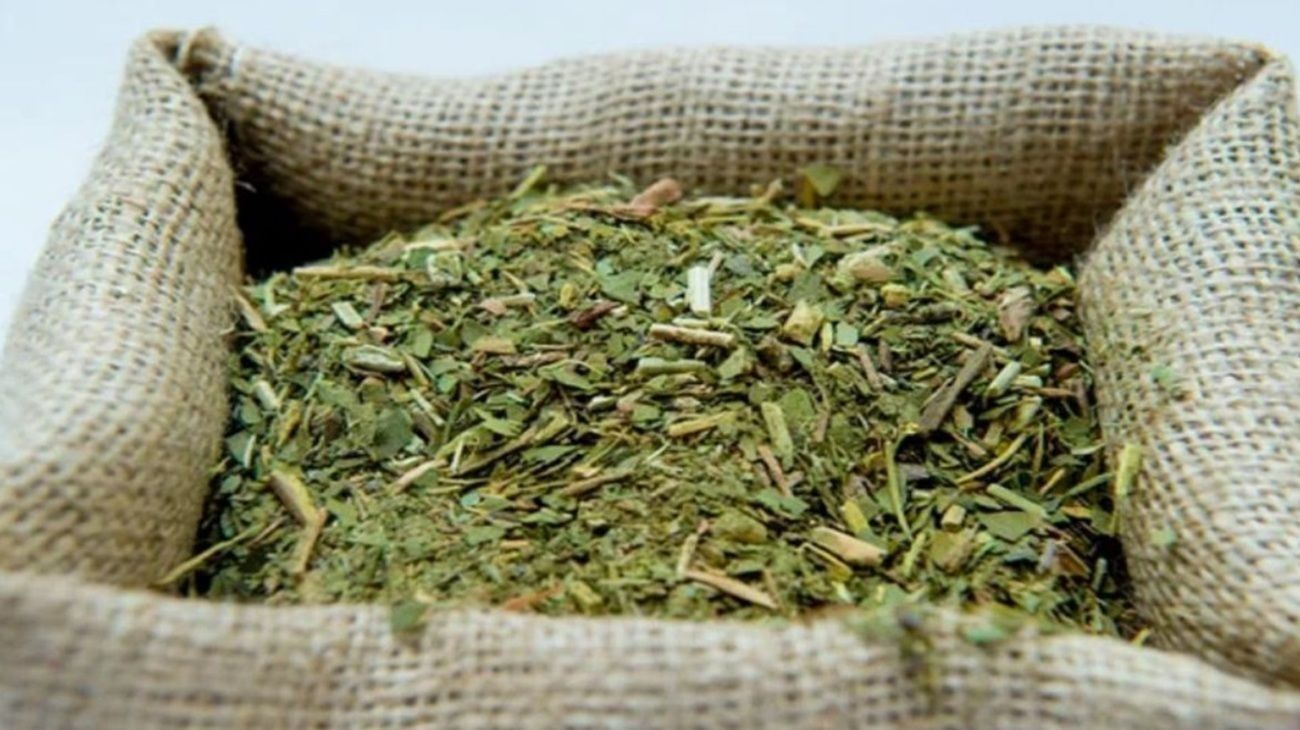 Klingbel sobre la crisis de productores: “Tuve que dejar la yerba y el té porque ya no hay rentabilidad"