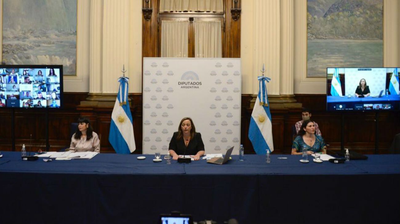 Aborto: Diputados sigue el debate en comisiones y se votaría el próximo jueves