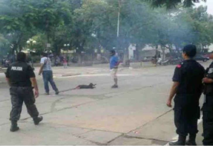 Murió una perra en una protesta sindical
