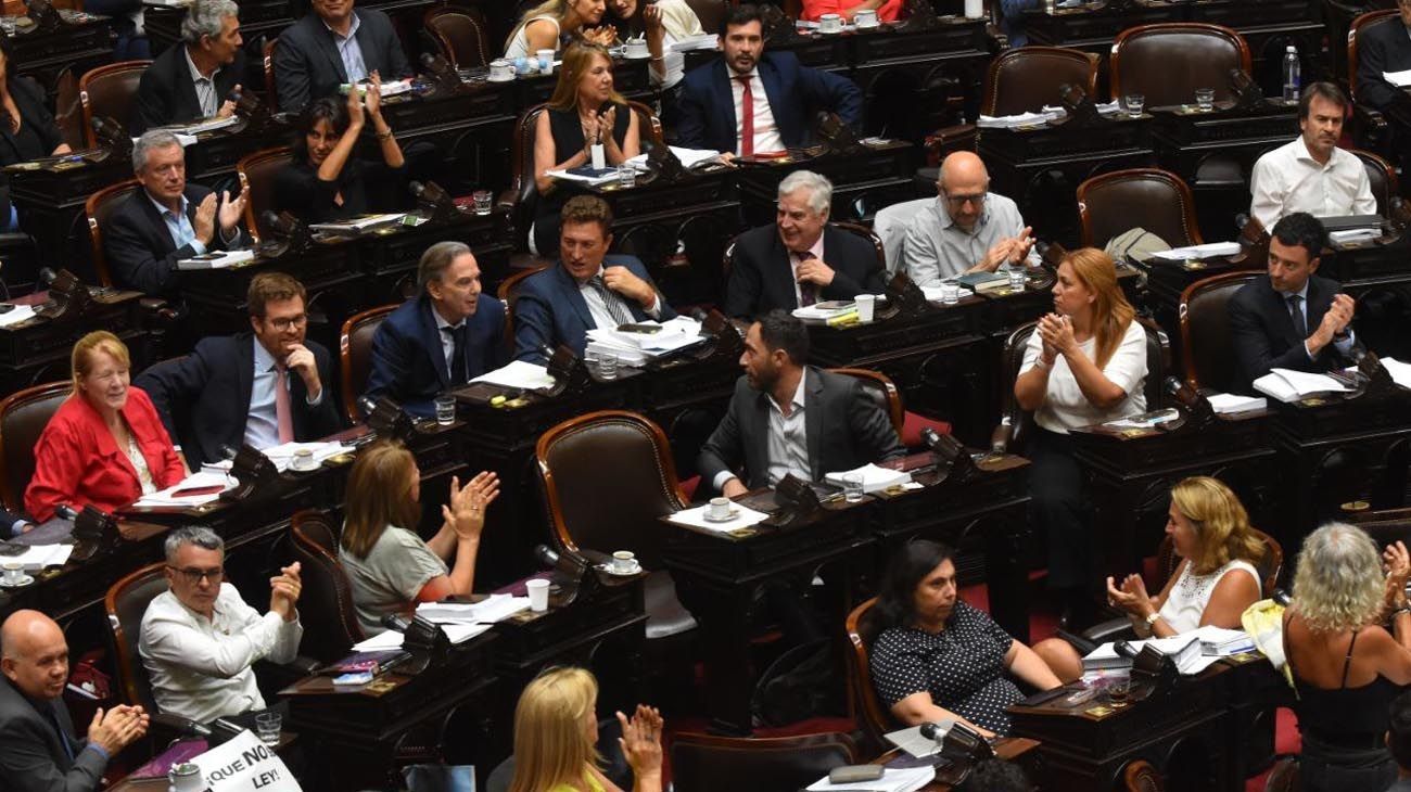 Ley de Bases: cómo será el proceso de debate de los artículos
