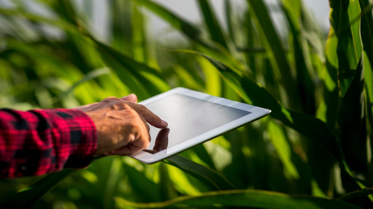 La Bolsa de Cereales de Buenos Aires empezará a emplear inteligencia artificial en sus proyecciones