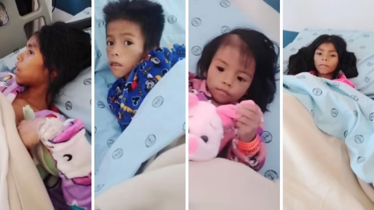 Salvados por sus saberes ancestrales: la odisea de los cuatro niños que se perdieron en la selva