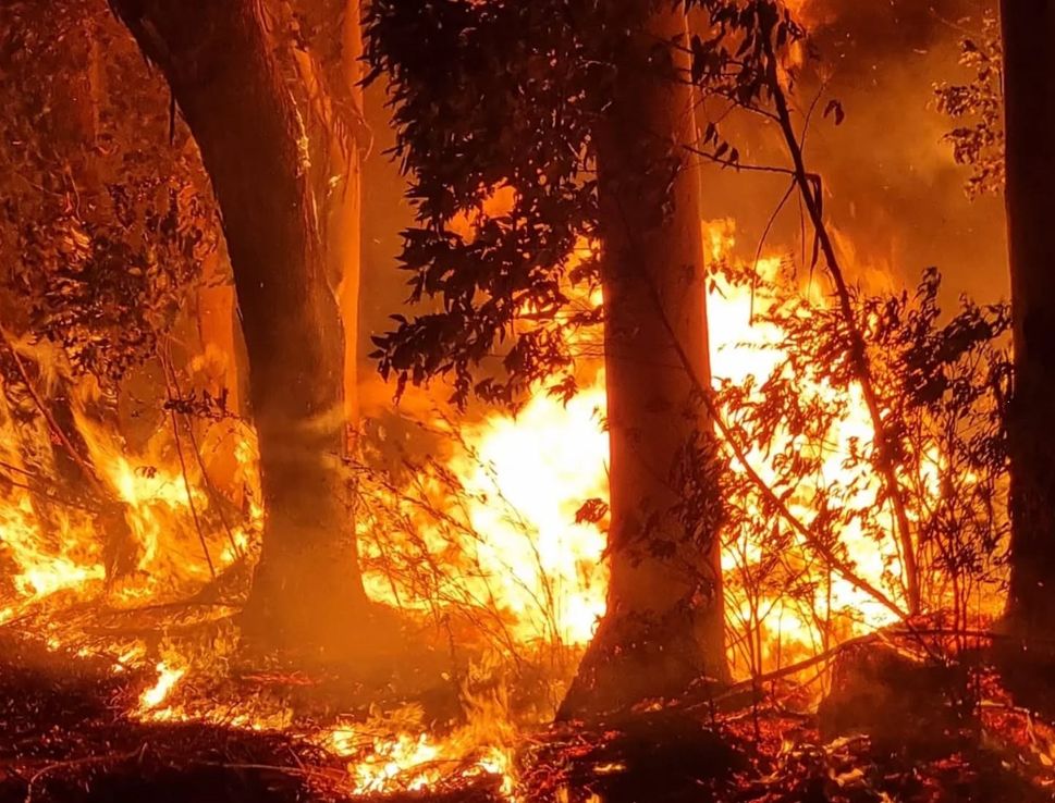 "Estamos pidiendo no quemar": Corrientes en alerta naranja por incendios y calor extremo