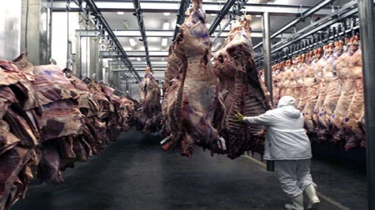 El consumo de carne aumentó en junio 2025: ¿Cuánta proteína animal consumimos?