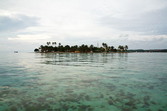 PLAYAS CARIBEÑAS, CAFÉ Y CULTURA