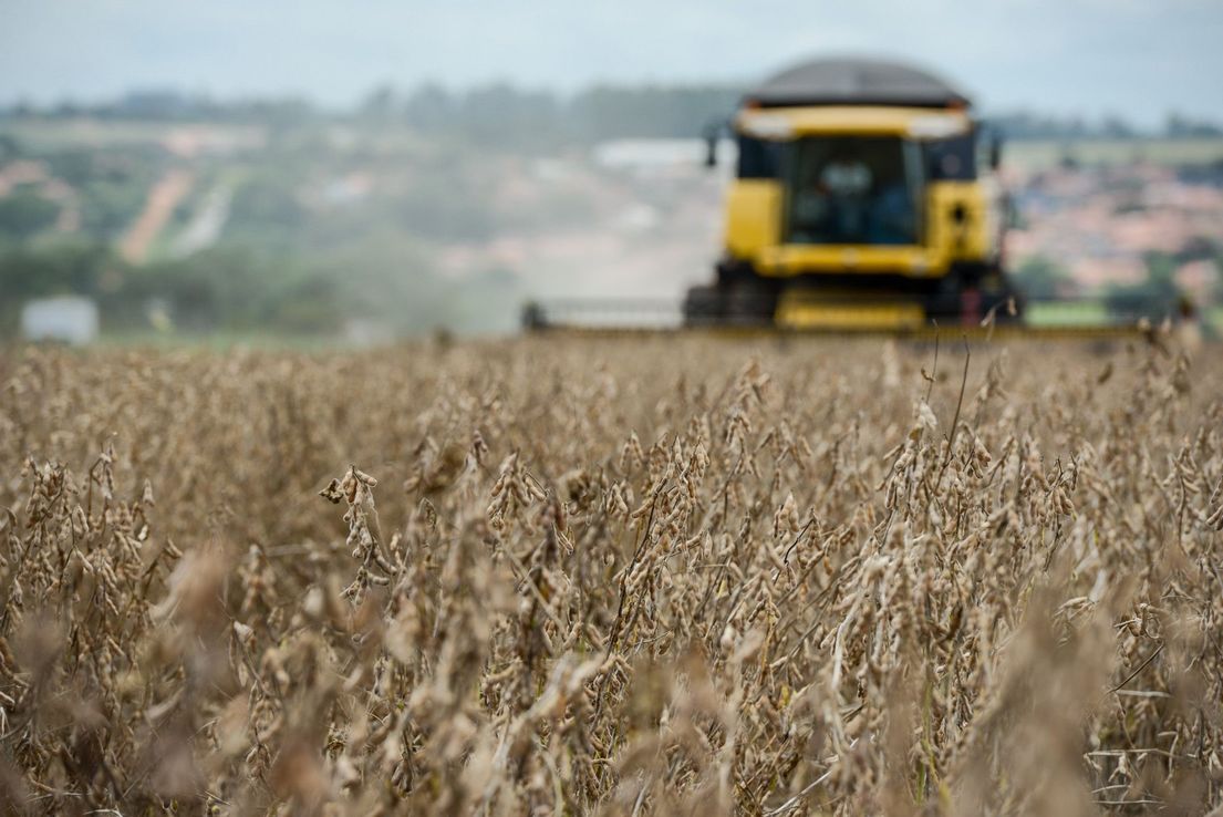 ¿Podrá Argentina aumentar sus exportaciones de aceite de soja?