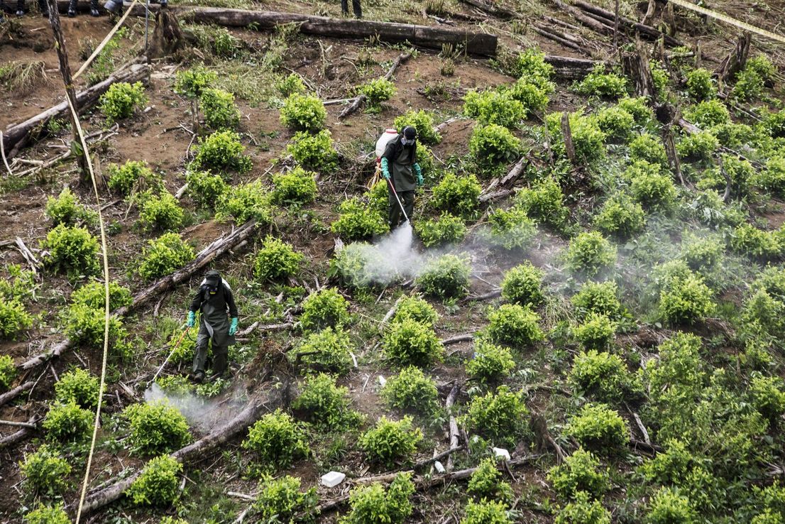 La producción de cocaína en Colombia alcanzó niveles récord en 2021