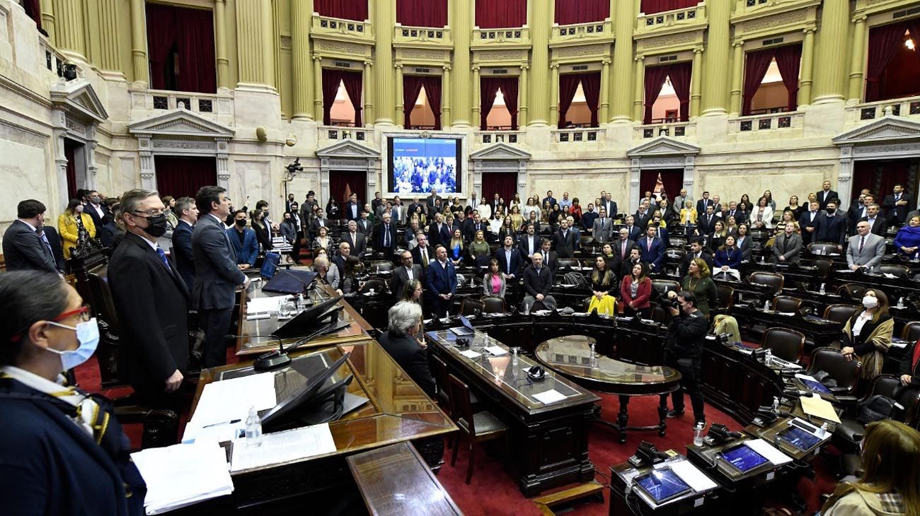 La Cámara de Diputados discute el proyecto de ley para garantizar el acceso a cuidados paliativos