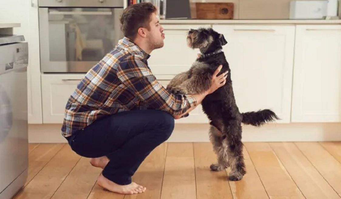 Los perros pueden comprender palabras y asociarlas con emociones, según un estudio