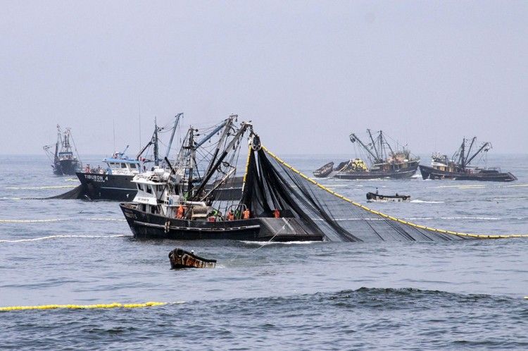 Mariana Zuvic acusó al Gobierno de entregar "el Mar Argentino a China" por las vacunas