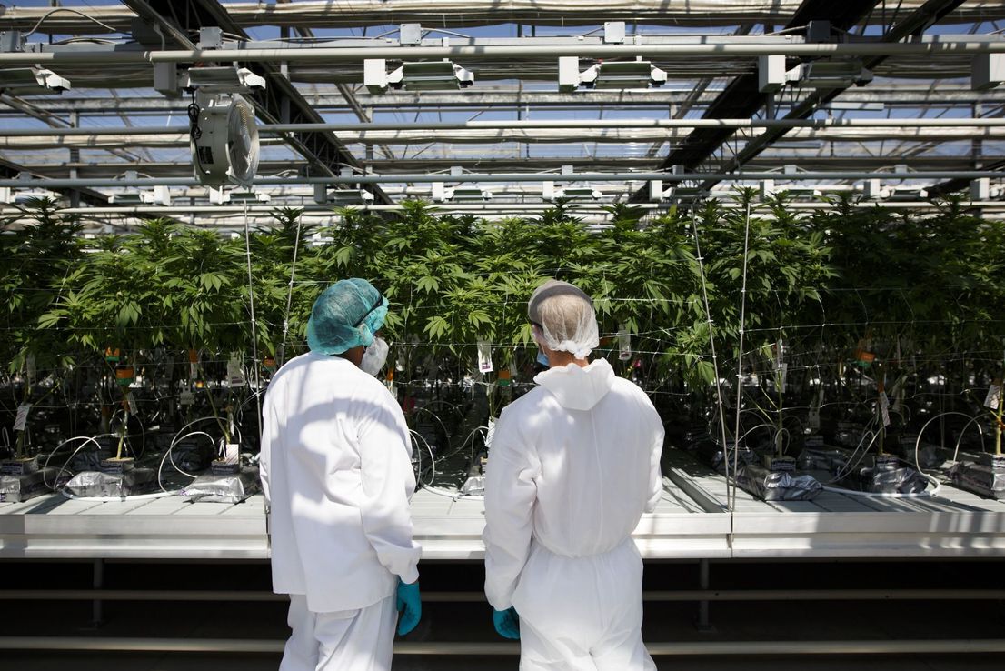 Coca-Cola niega el rumor sobre la creación de una bebida con cannabis