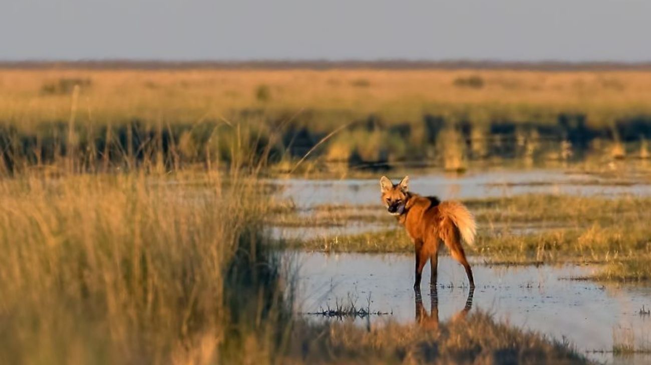 Ya hay un nuevo Parque Nacional para la Argentina