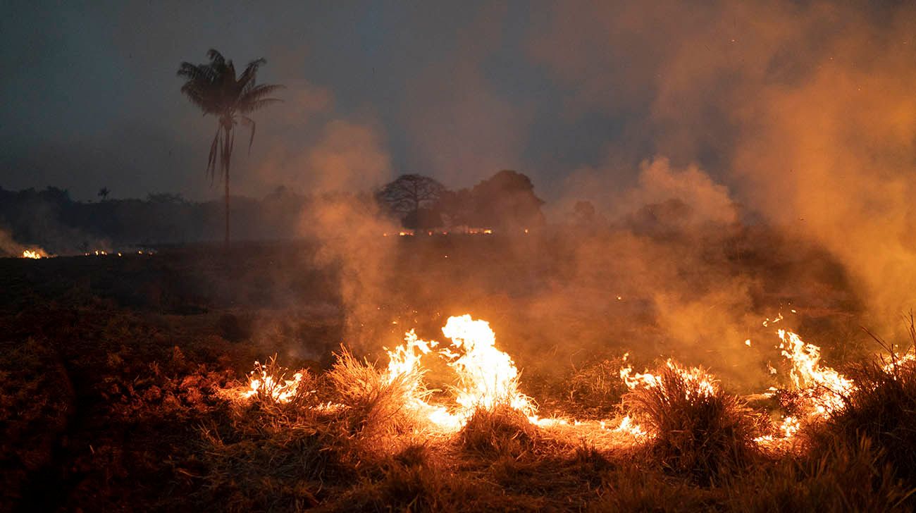 Cómo puede afectar en Argentina el humo que provoca el incendio en el Amazonas
