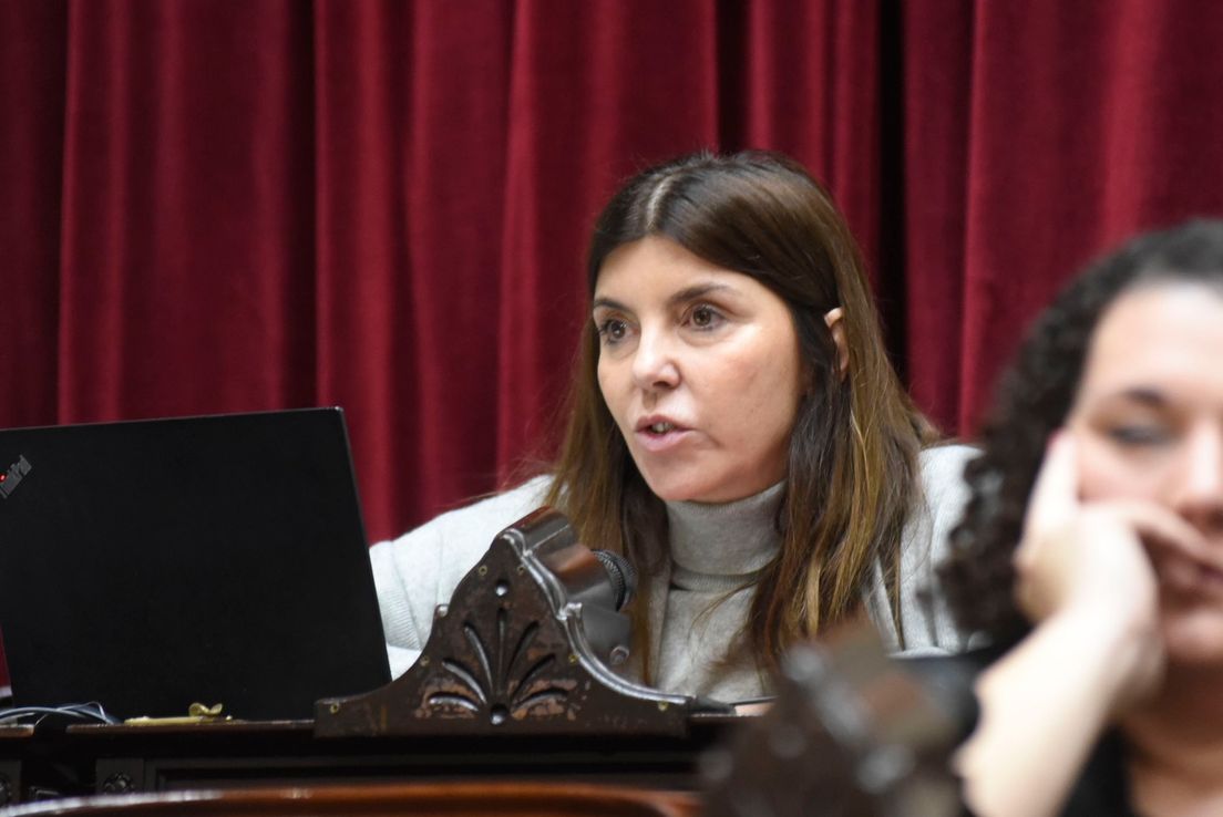 Germana Figueroa Casas: "Hay que escuchar a la gente que se desilusionó con el PRO"