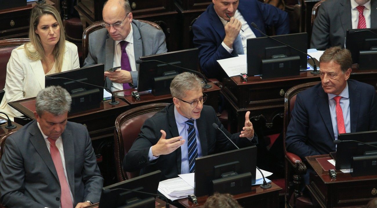 Las propuestas de los senadores radicales para cambiar artículos de la Ley de Bases