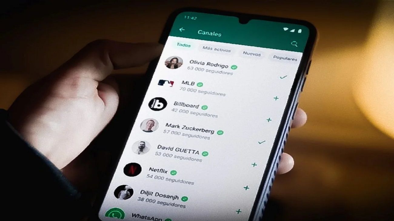 WhatsApp: ¿cómo ocultar el “en línea” en tu estado?