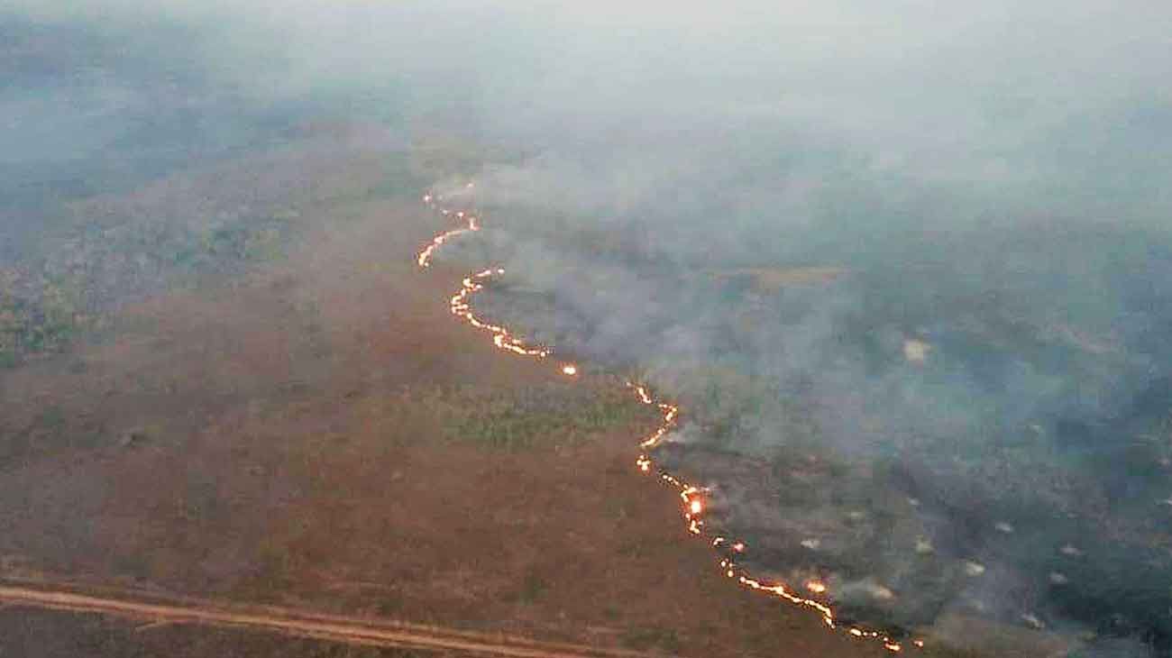 Amazonas: la UE se enfrenta a Bolsonaro por los incendios