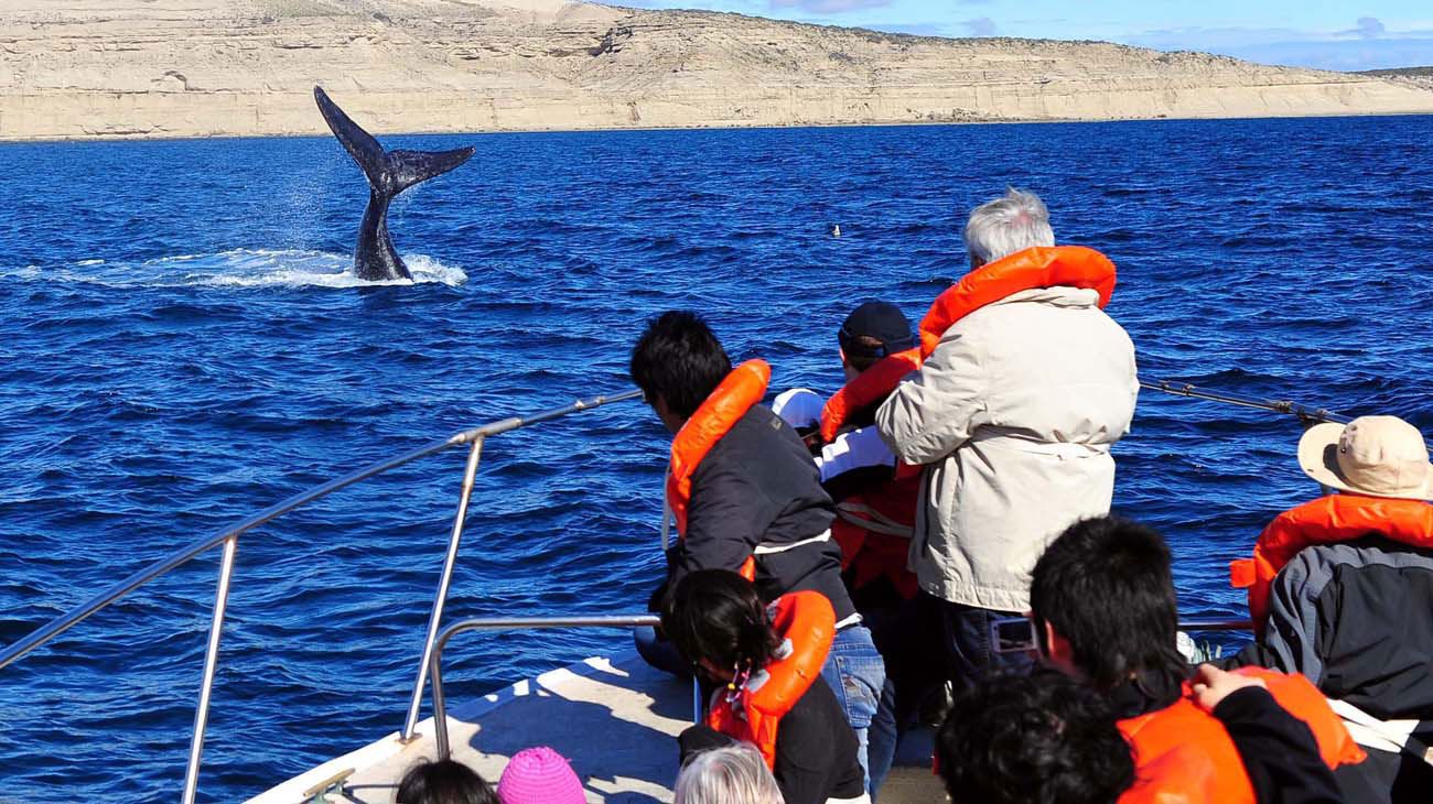 PreViaje 3: cómo será la nueva edición del programa que estimula el turismo