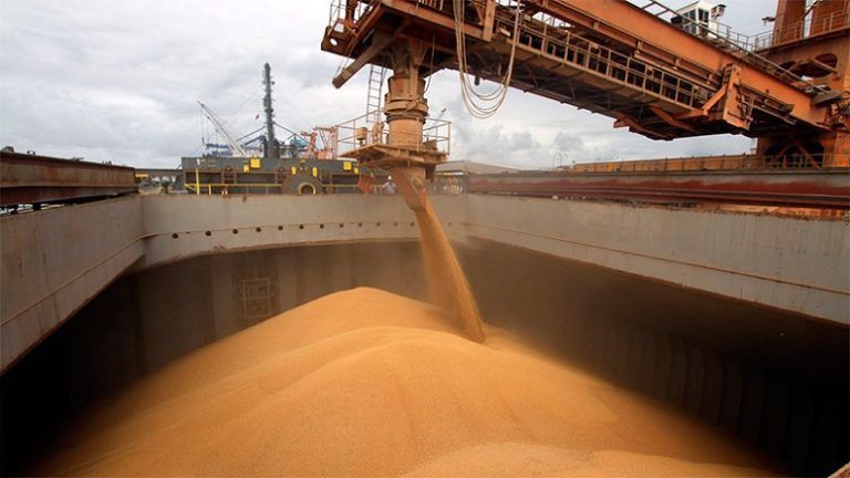 Soja: cómo proteger la producción en un mercado con incertidumbres