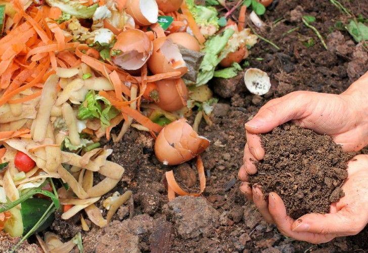 Cómo transformar los residuos del hogar en abono orgánico