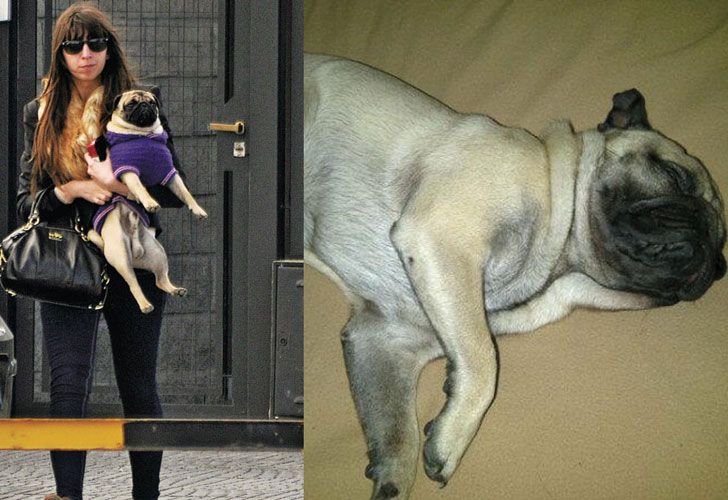 El drama del perro de Florencia Kirchner