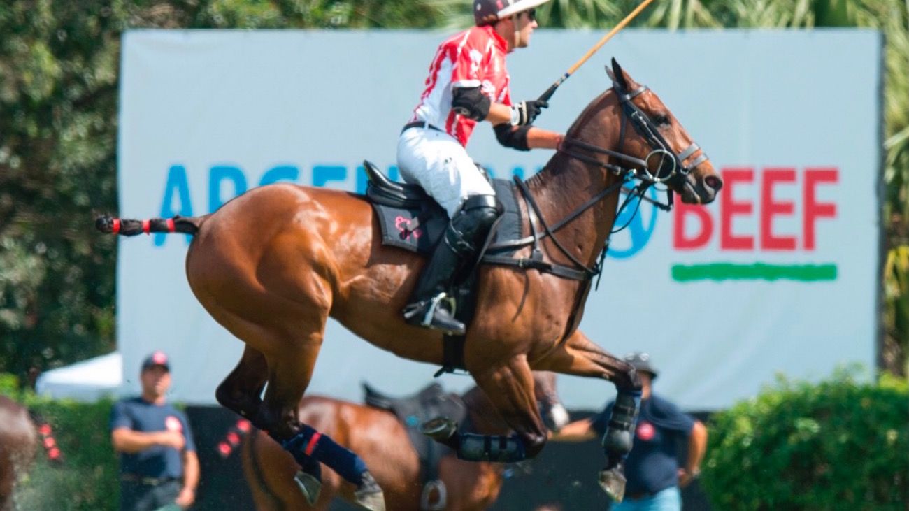 El IPCVA promociona la carne argentina en el mayor torneo de polo de Estados Unidos