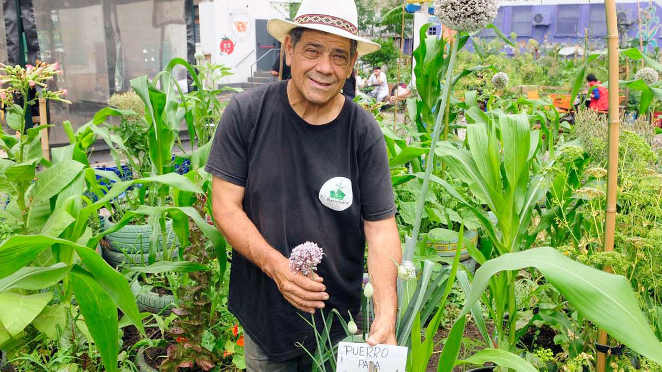 Cómo es la huerta urbana que funciona en un estacionamiento del barrio de la Recoleta