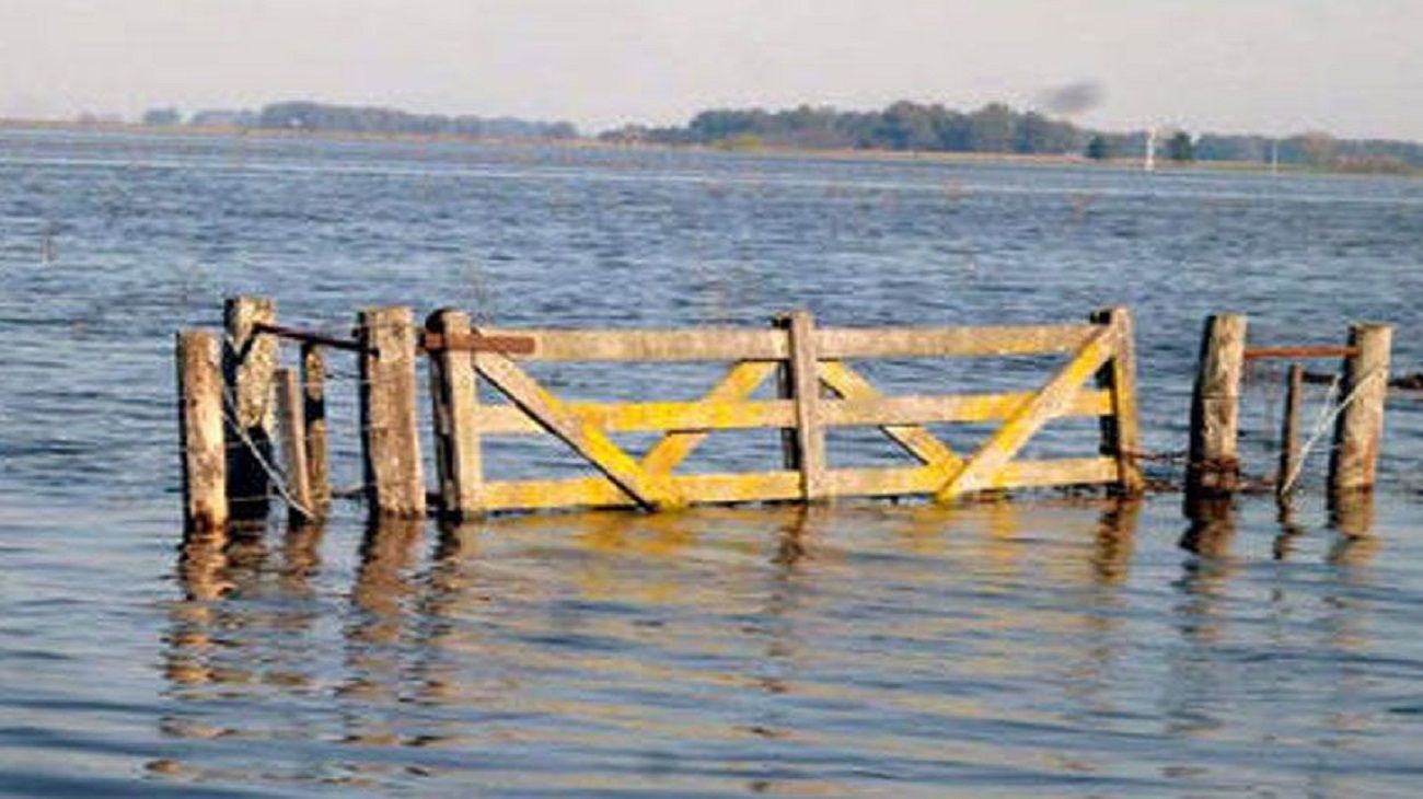 Ignacio Kovarsky, presidente de CARBAP, sobre el impacto de las inundaciones: "Ya estamos viendo cultivos perdidos”