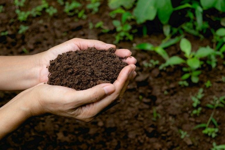Un mercado de biológicos que se expande y una triple alianza para conquistar a los productores argentinos