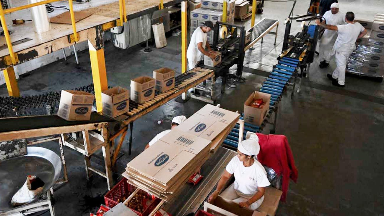 La industria y la construcción mostraron leves repuntes mensuales en agosto
