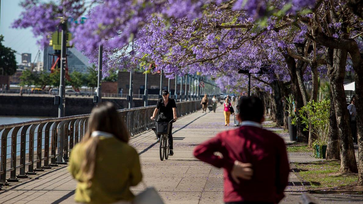 Tiempo: semana fresca y agradable, sin lluvias en el AMBA