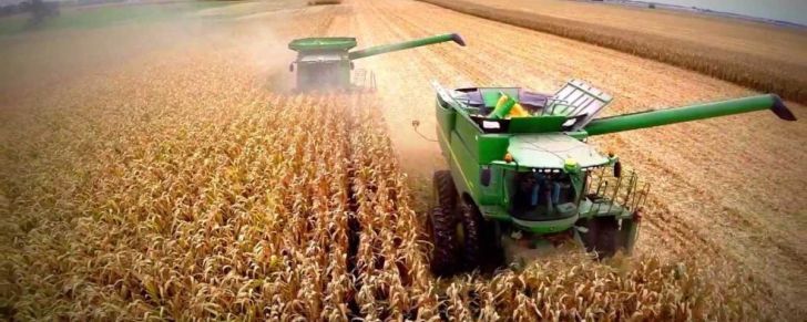Argentina necesita un proyecto Vaca Viva