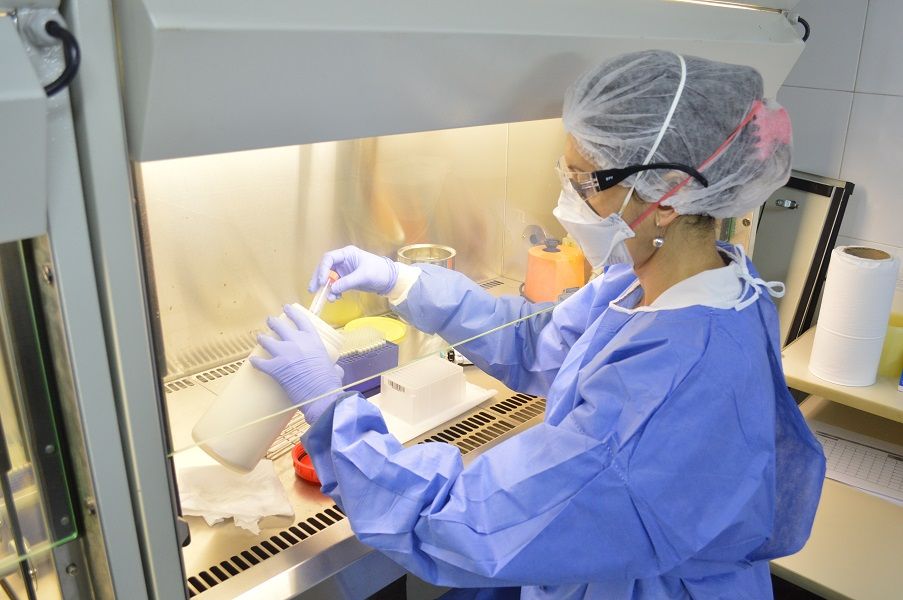 Laboratorio Central: punto clave en la lucha contra el coronavirus