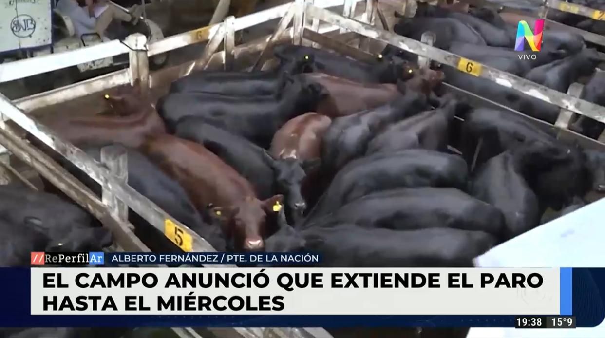 Cese de exportaciones | "Esta semana no faltará carne en el mostrador", dijo un experto